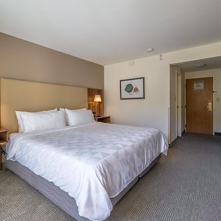 Holiday Inn San Jose La Sabana By Ihg Bagian luar foto